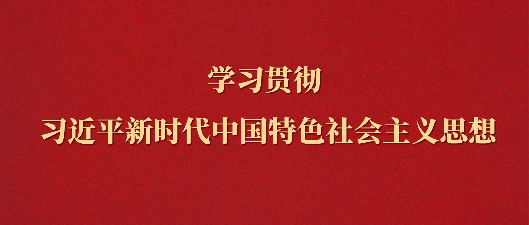 学习贯彻习近平新时代中国特色社会主义思想
